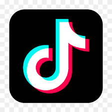 TikTok Icon